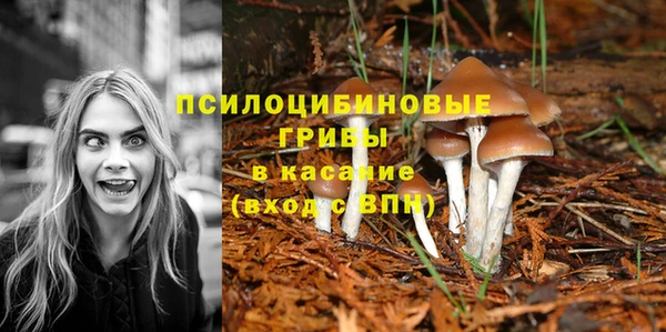 COCAINE Белокуриха