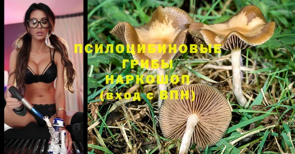 амф Беломорск