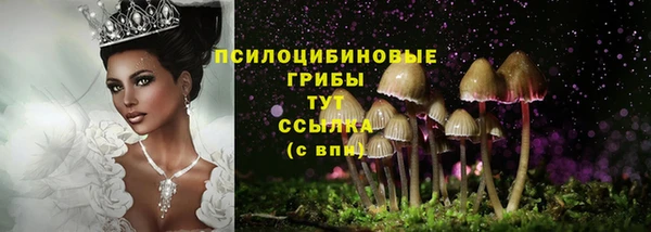 гидропоника Медвежьегорск