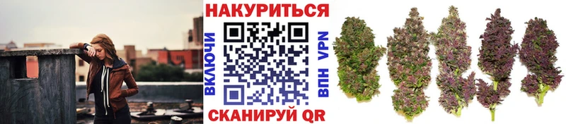 Купить где  Кольчугино  Бошки Шишки Bruce Banner 